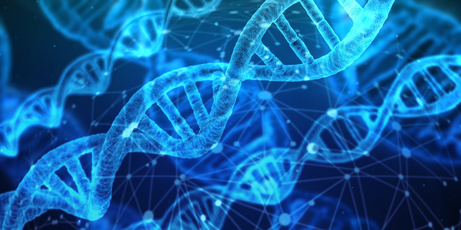 dna-gf35445e35_1920-336
